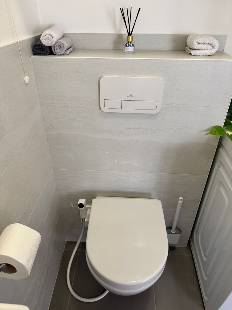 Toilet with bidet spray
