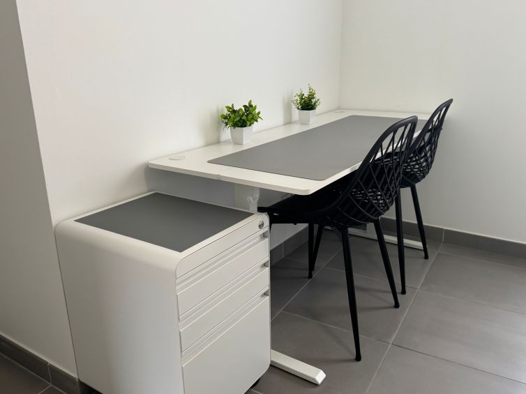 Ergonomic, heigh-adjustable double electric desk