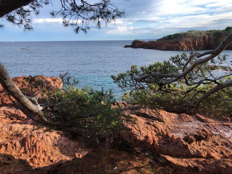 Lion de Terre - Santa Lucia